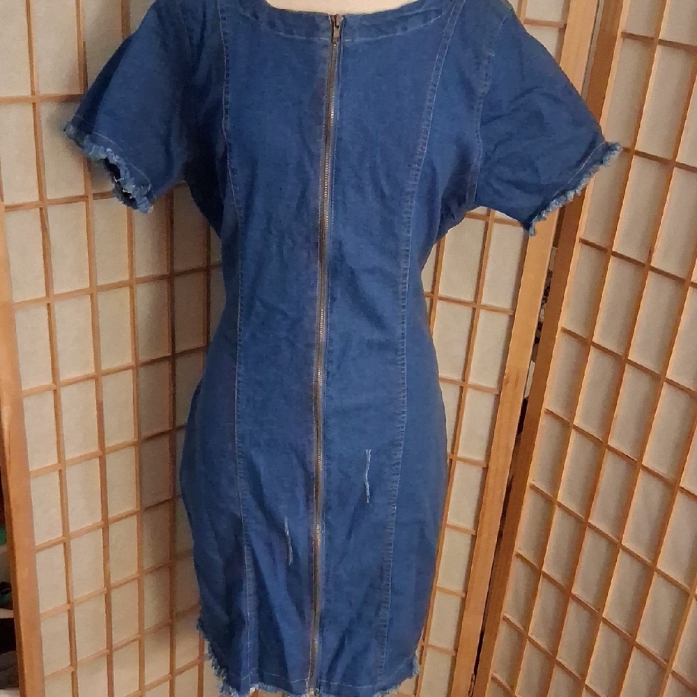 Eighty Eight Denim Mini Dress with Zipper